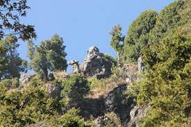 Camel's back road- beautiful place in Mussoorie