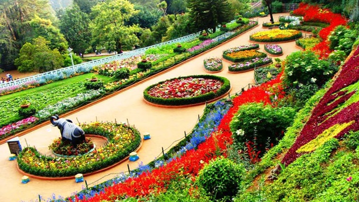 rose gardens: best places to visit in Chandigarh