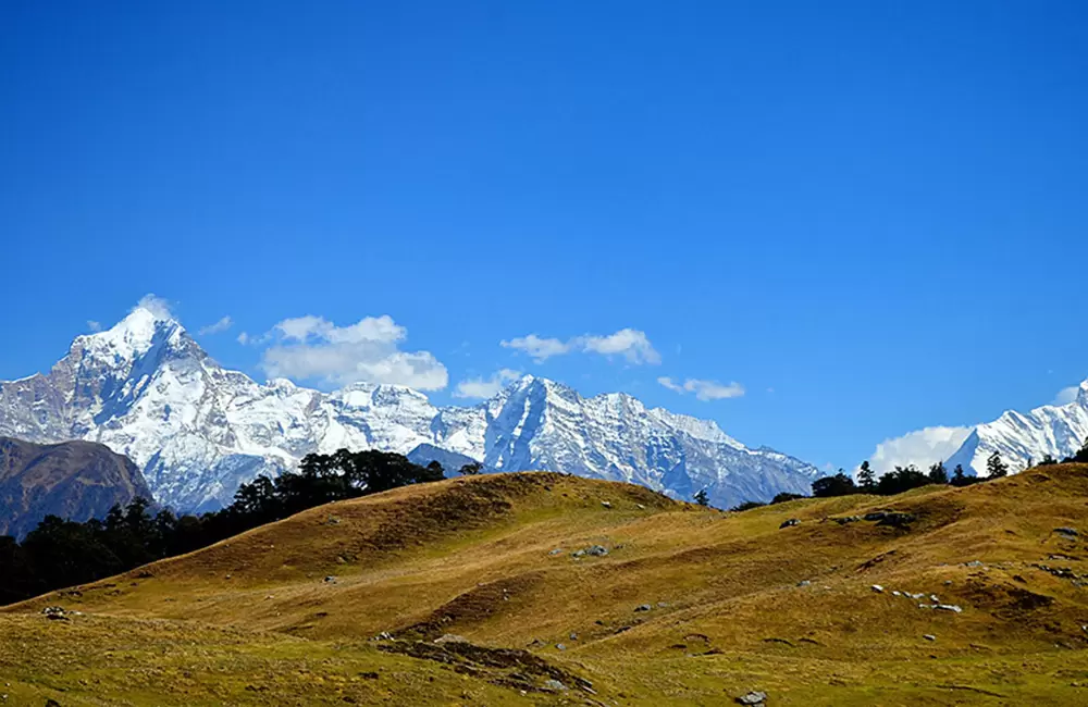 gorsol bugyal with dehradun to auli taxi